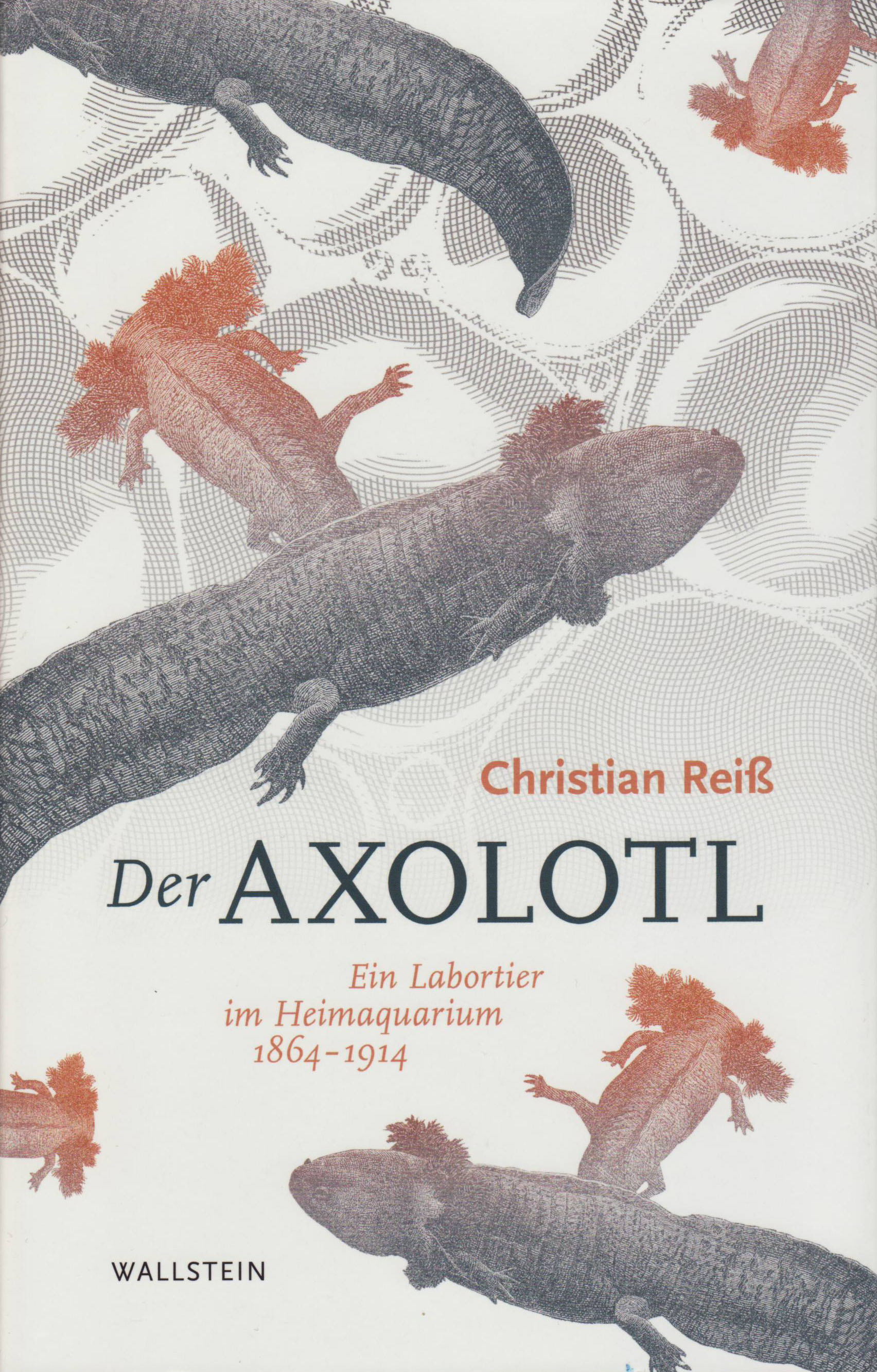 book cover: Christian Reiss: Der Axolotl. Ein Labortier im Heimaquarium 1864–1914 (2020)