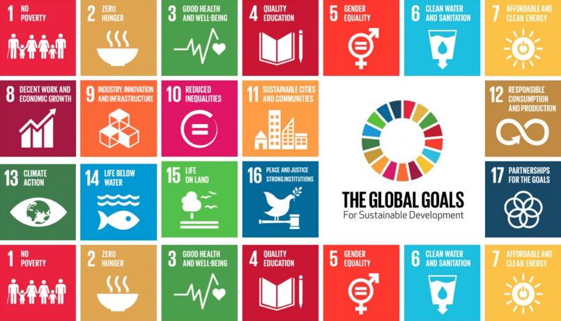 the global goals for sustainable development